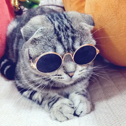 ReDifferent pet cat очки солнцезащитные очки ретро крутой кот забавный фотореквизит кошки и персонализированные видео щенки универсальный Comfort Cool