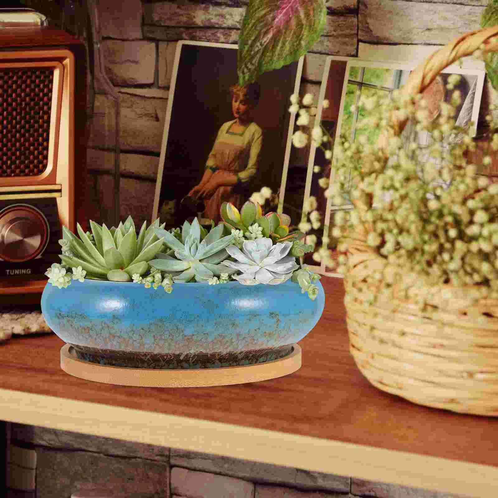 1 Набор маленьких керамических цветочных горшков Декоративное кашпо в горшке Шикарное керамическое кашпо Горшок для растений бонсай