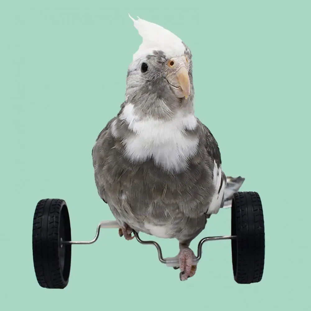 Parrot Toy Роликовые коньки для попугаев Игрушка для дрессировки домашних птиц с двухрядными роликовыми коньками Вращающиеся колеса для маленьких попугаев для птицы
